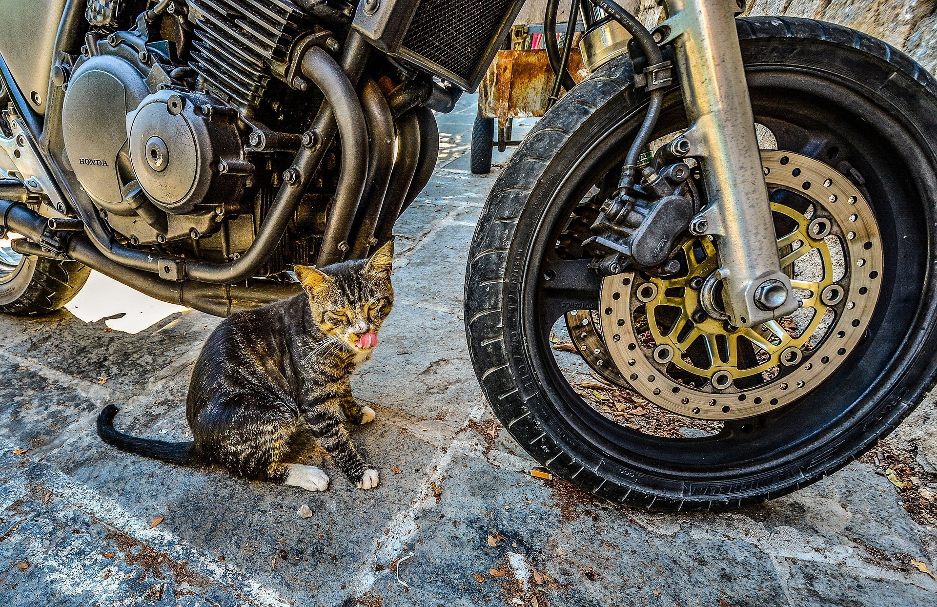 Top 13 Best Motorcycle Tires - Motorcycle Tires For Sale - in 2020 Reviews